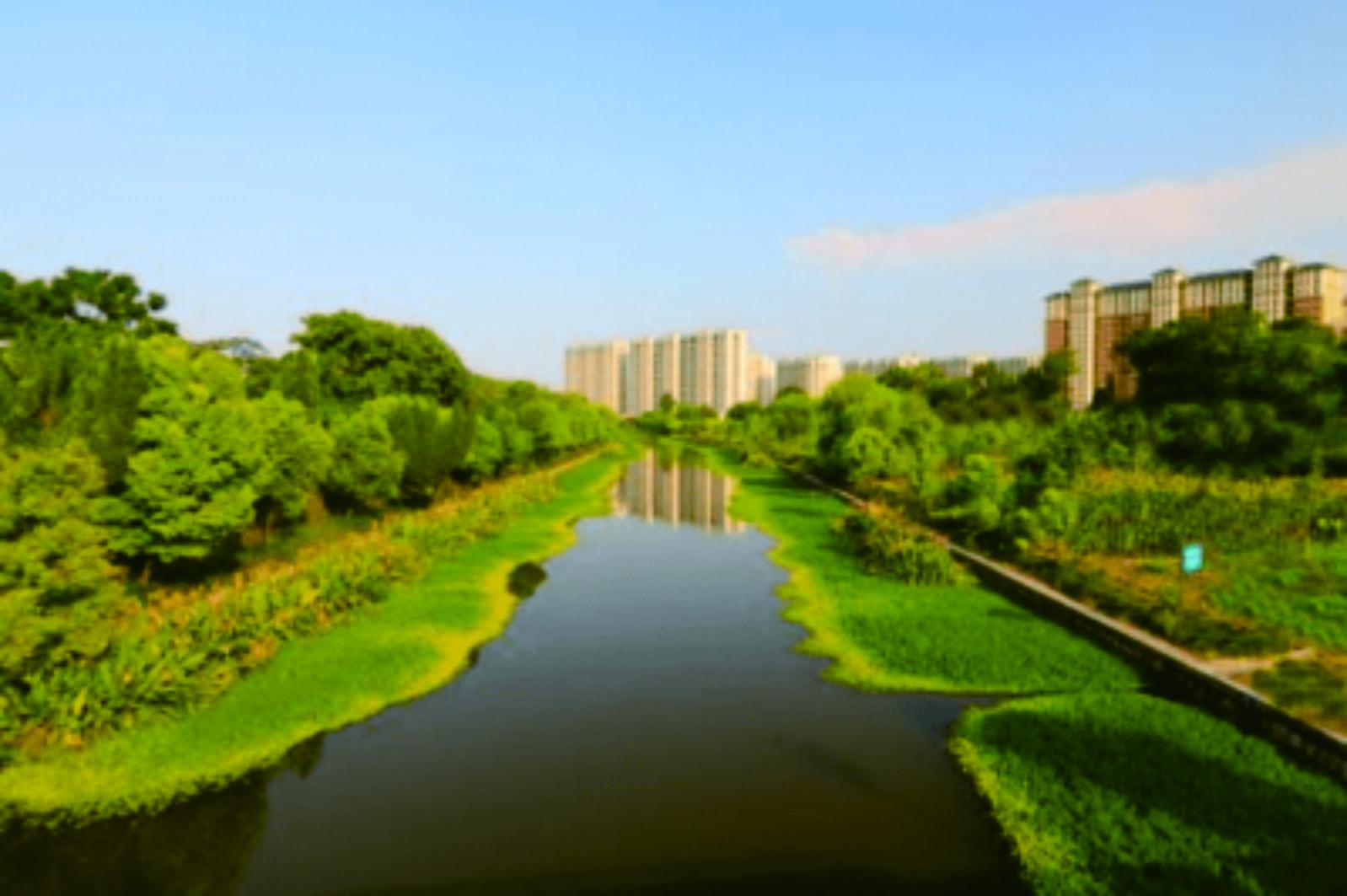 襄城縣循環(huán)經(jīng)濟(jì)產(chǎn)業(yè)集聚區(qū)擴(kuò)容強(qiáng)基遷建、農(nóng)村水系綜合整治工程等項(xiàng)目（EPC）